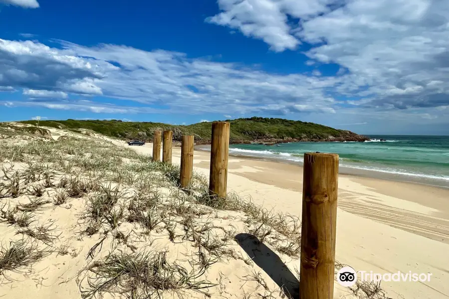 Myall Lakes National Park