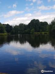 Kirk Hallam Lake & Meadows