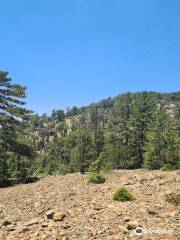 Troodos-Gebirge