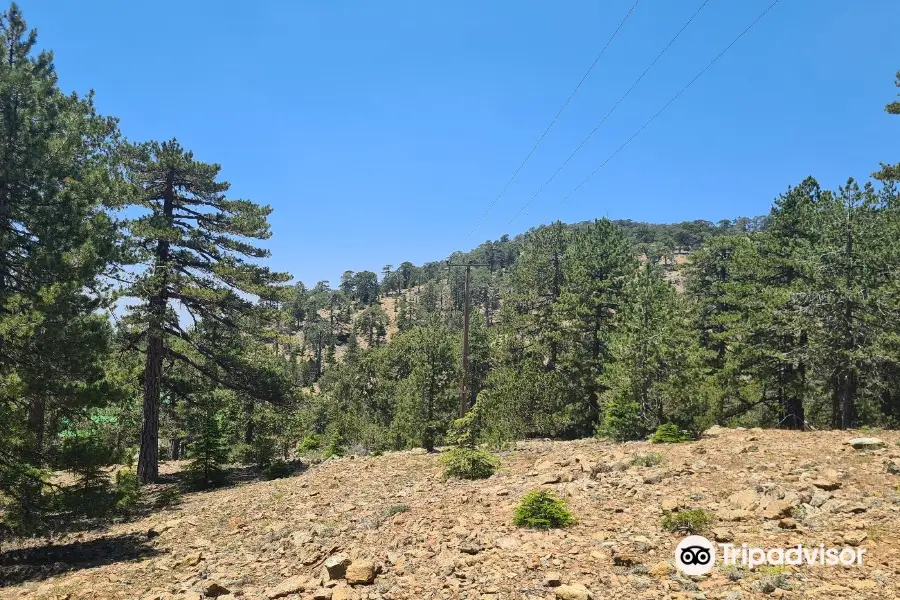 Troodos Mountains