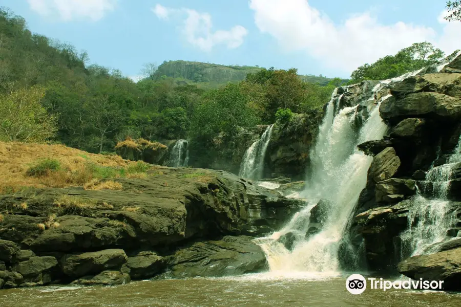 Chinnar Wildlife Sanctuary