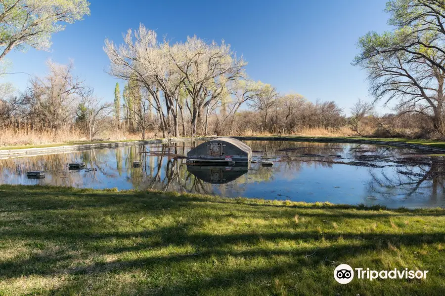 Rattlesnake Springs