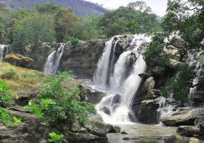 Chinnar Wildlife Sanctuary.