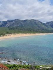 Spiaggia di Scivu