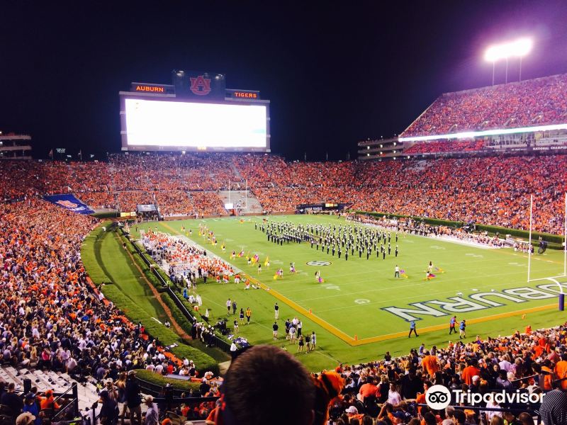 New Orleans to Auburn Flights