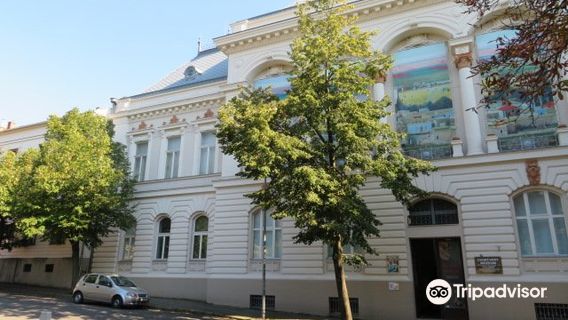 Tivadar Csontvary Museum