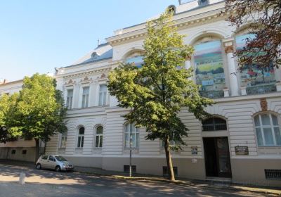 Tivadar Csontvary Museum