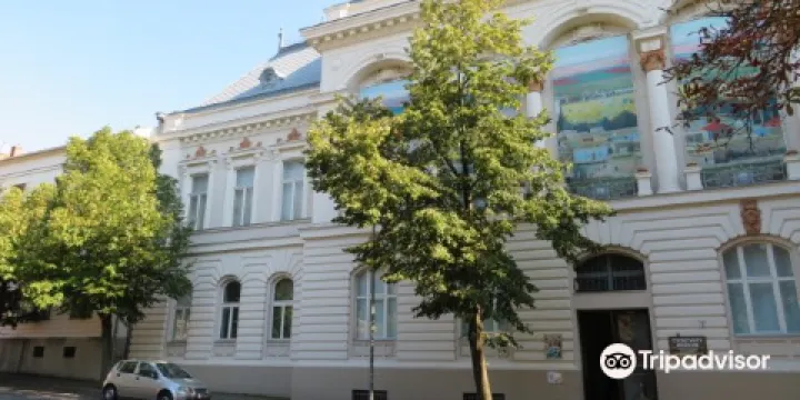 松特瓦里博物館