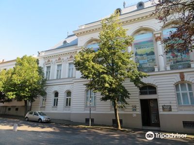Tivadar Csontvary Museum