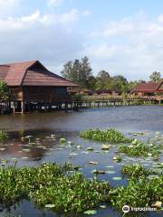 Thale Noi Waterbird Park