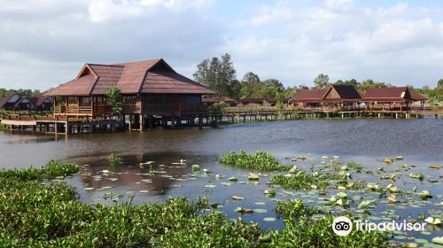 Thale Noi Waterbird Park