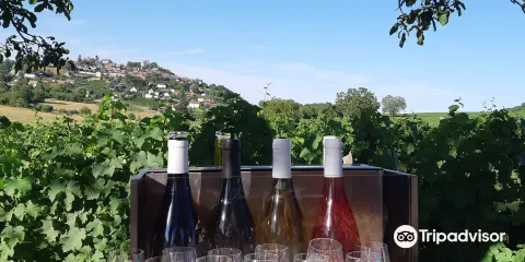 Vincent Grall Vigneron