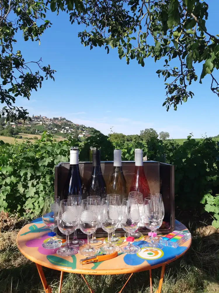 Hotels in Sancerre