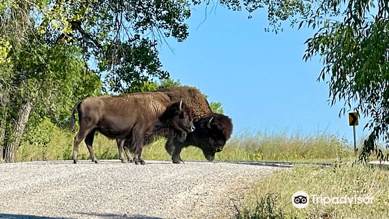 Fort Niobrara National Wildlife Refuge