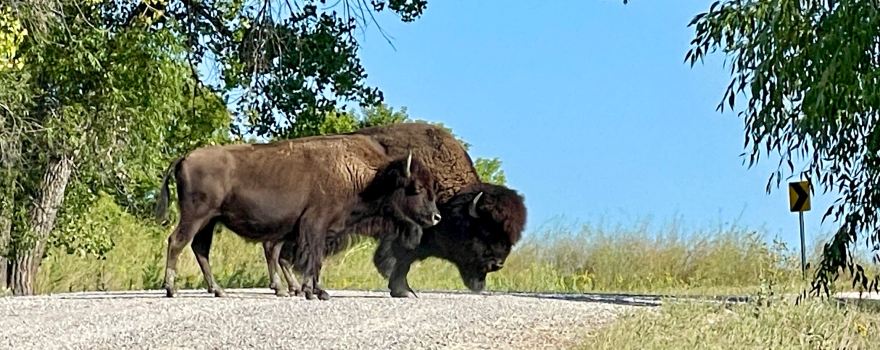Fort Niobrara National Wildlife Refuge