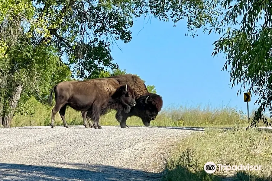 Fort Niobrara National Wildlife Refuge