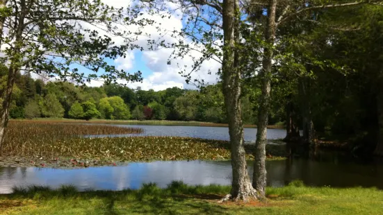 Lake Te Ko Utu (Te Koutu Lake)