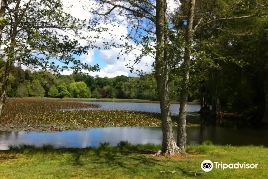 Lake Te Ko Utu (Te Koutu Lake)