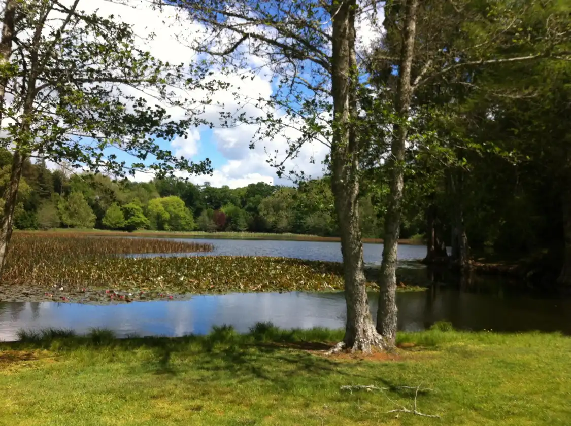 Hotels near Lake Te Ko Utu (Te Koutu Lake)