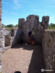 Lamphey Bishops Palace / Llys yr Esgob Llandyfái