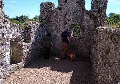 Lamphey Bishops Palace/ Llys yr Esgob Llandyfái