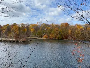 Nelson Ledges Quarry Park