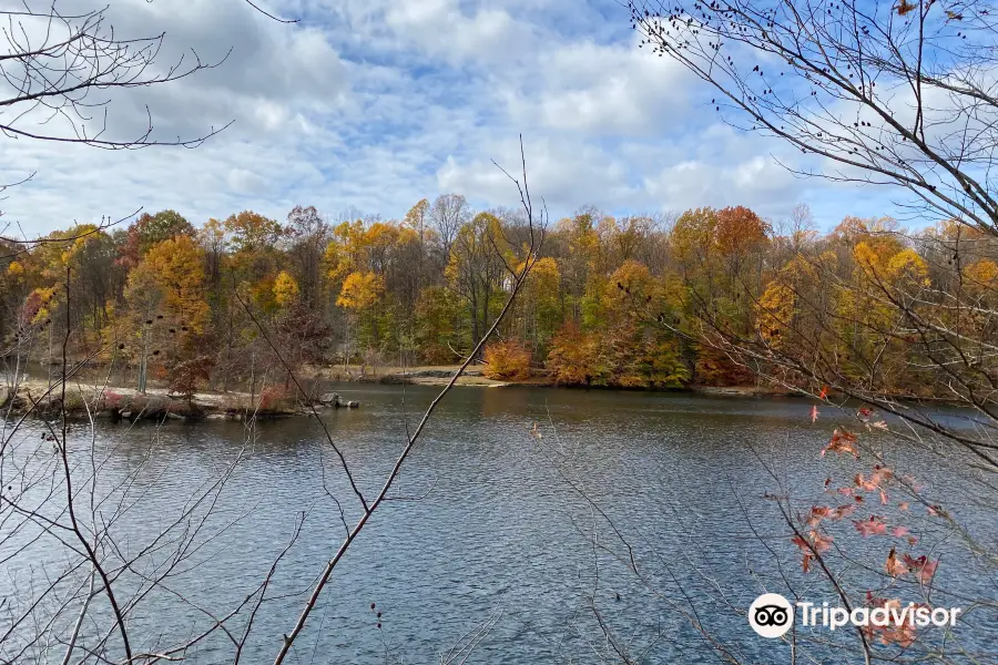 Nelson Ledges Quarry Park