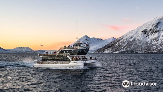 Brim Explorer Tromsø - Meeting Point Tours