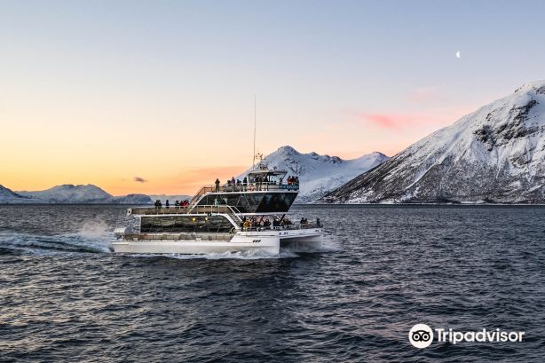 Brim Explorer Tromsø - Meeting Point Tours
