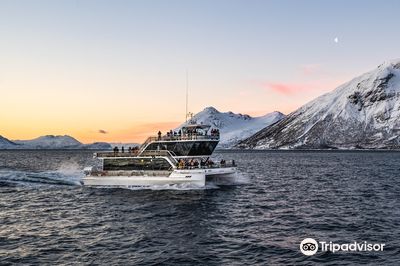 Brim Explorer Tromsø - Meeting Point Tours