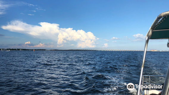 Chase-N-Fins / Aquatic Charters