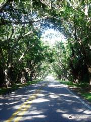 Hobe Sound Nature Center