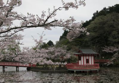 茂原公園