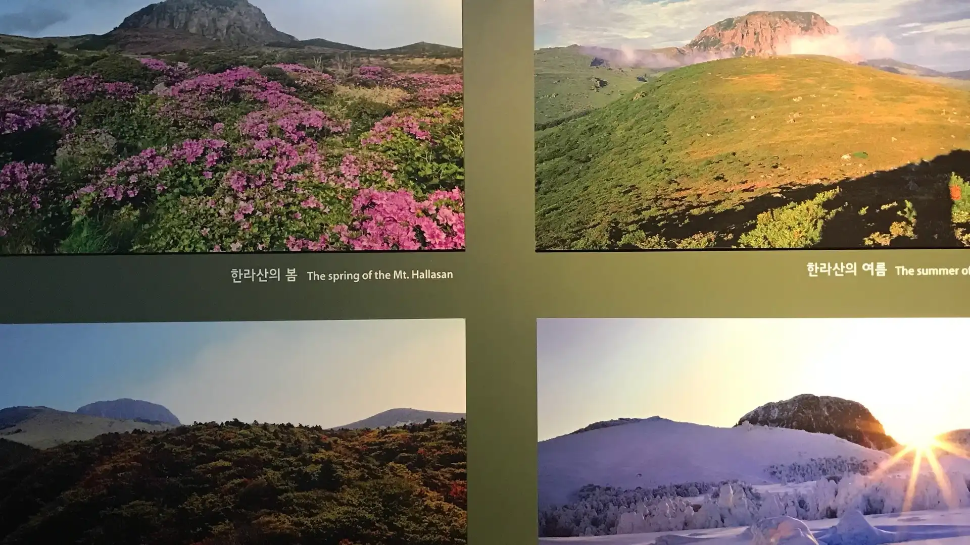 제주 세계자연유산센터 주변 호텔