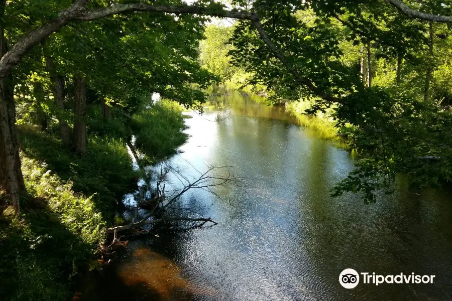 The Windham Path