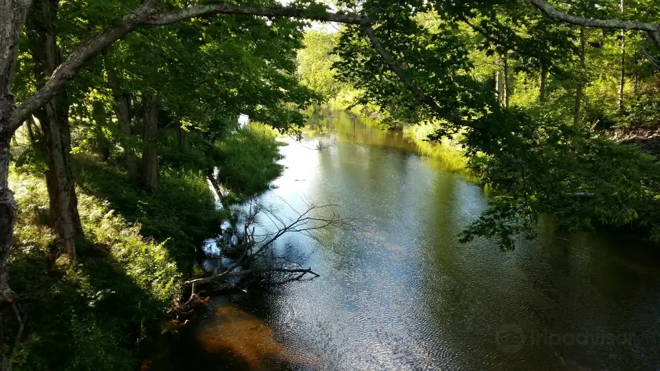 1_The Windham Path