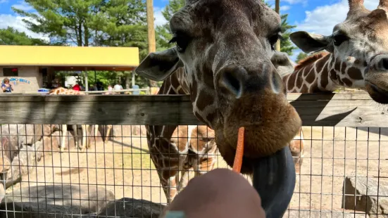 Wildwood Wildlife Park Zoo & Safari