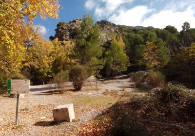 Área Recreativa Río Dílar