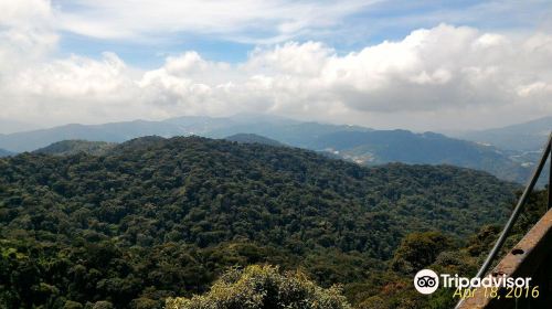 Gunung Brinchang