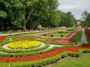 Solankowy Park