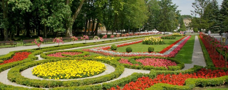 Solankowy Park