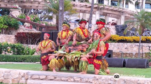 FIA FIA Polynesian Show