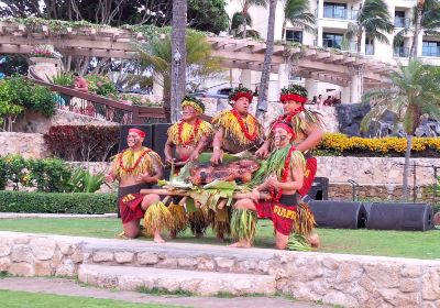 FIA FIA Polynesian Show