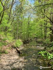 Shale Hollow Preserve