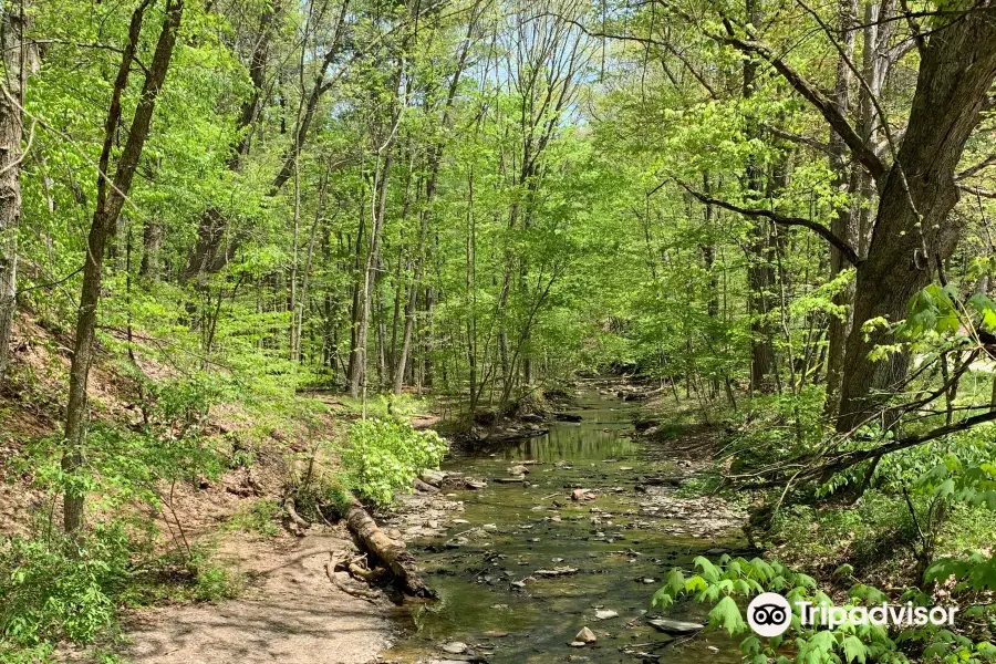 Shale Hollow Park