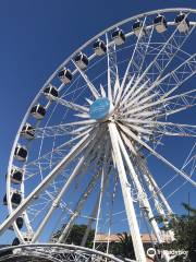 The Cape Wheel