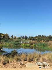 Tarra Rail Trail