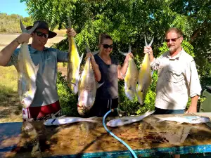 Karumba Fishing Adventures