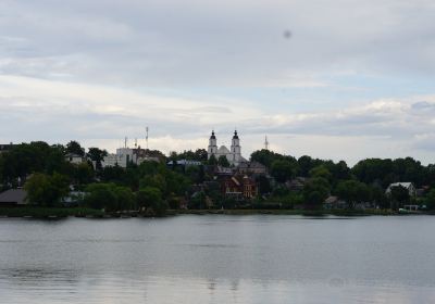 Great Island of Zarasas Lake