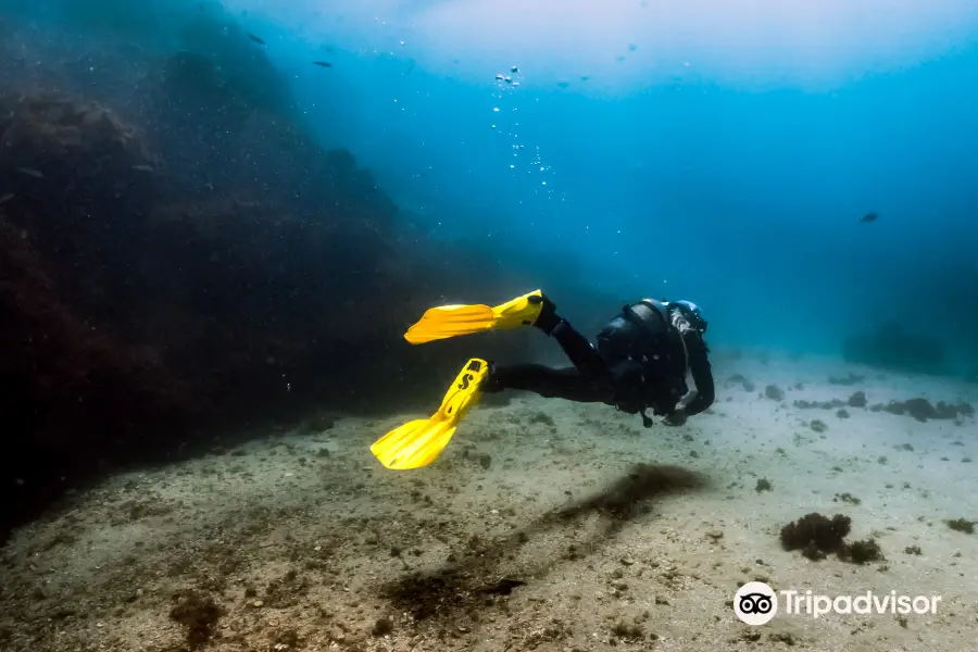 Simply Diving Marbella